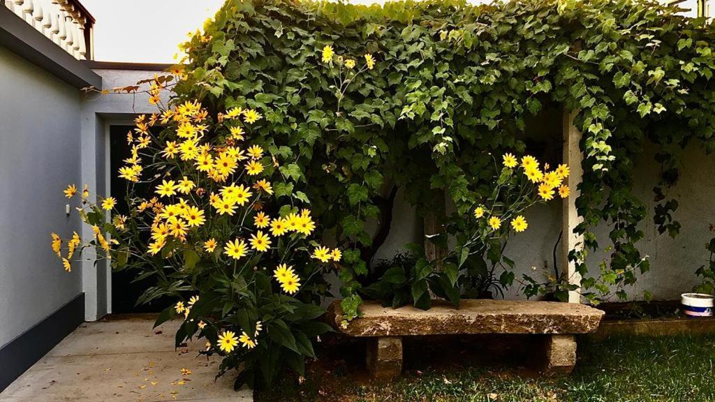 Casa As Sete Villa Angra do Heroísmo Eksteriør bilde