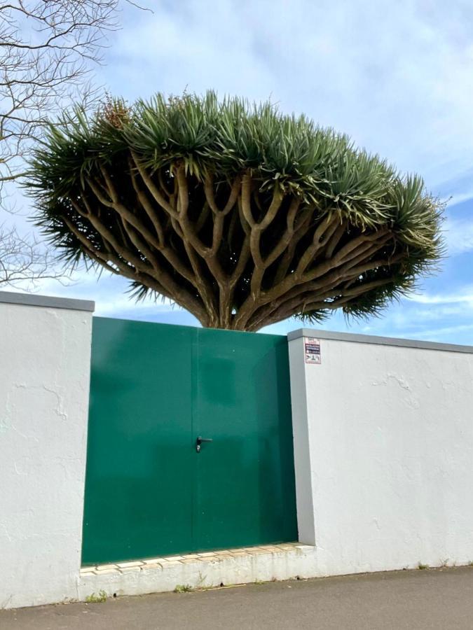 Casa As Sete Villa Angra do Heroísmo Eksteriør bilde